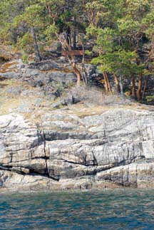 Start here: Signpost at Sarah Point identifies the start of the Sunshine Coast Trail.